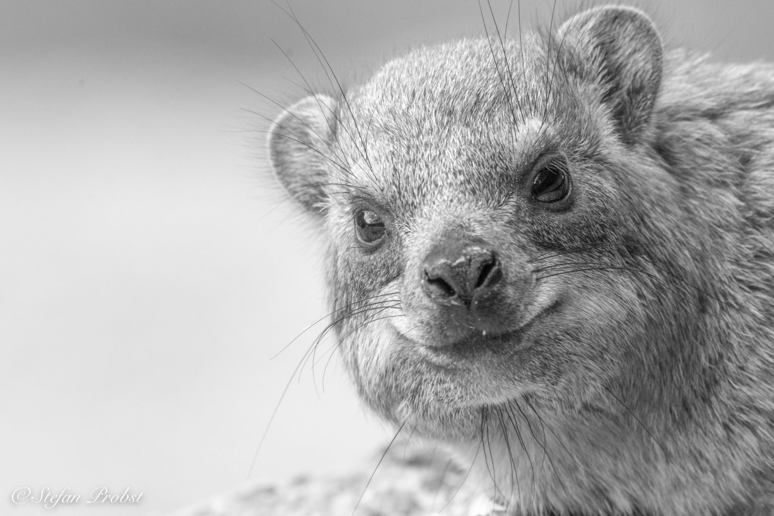 Black & White Photography SuN around the world