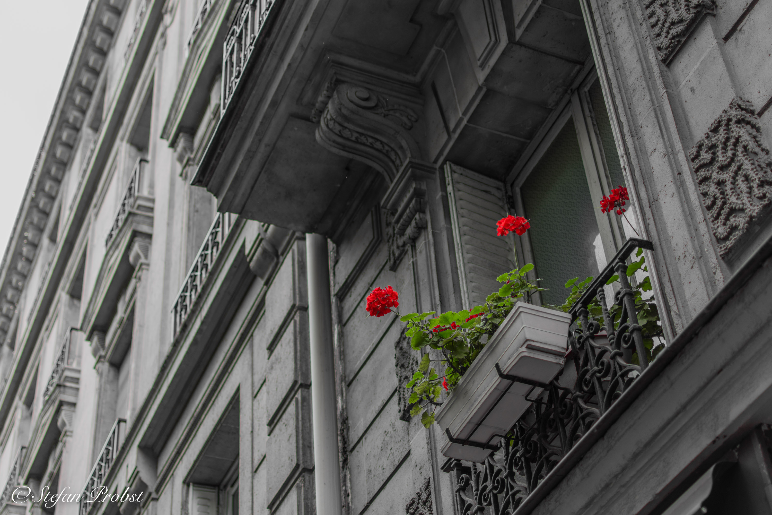 Ein Wochenende in Paris - Graue Hauswand mit roten Geranien