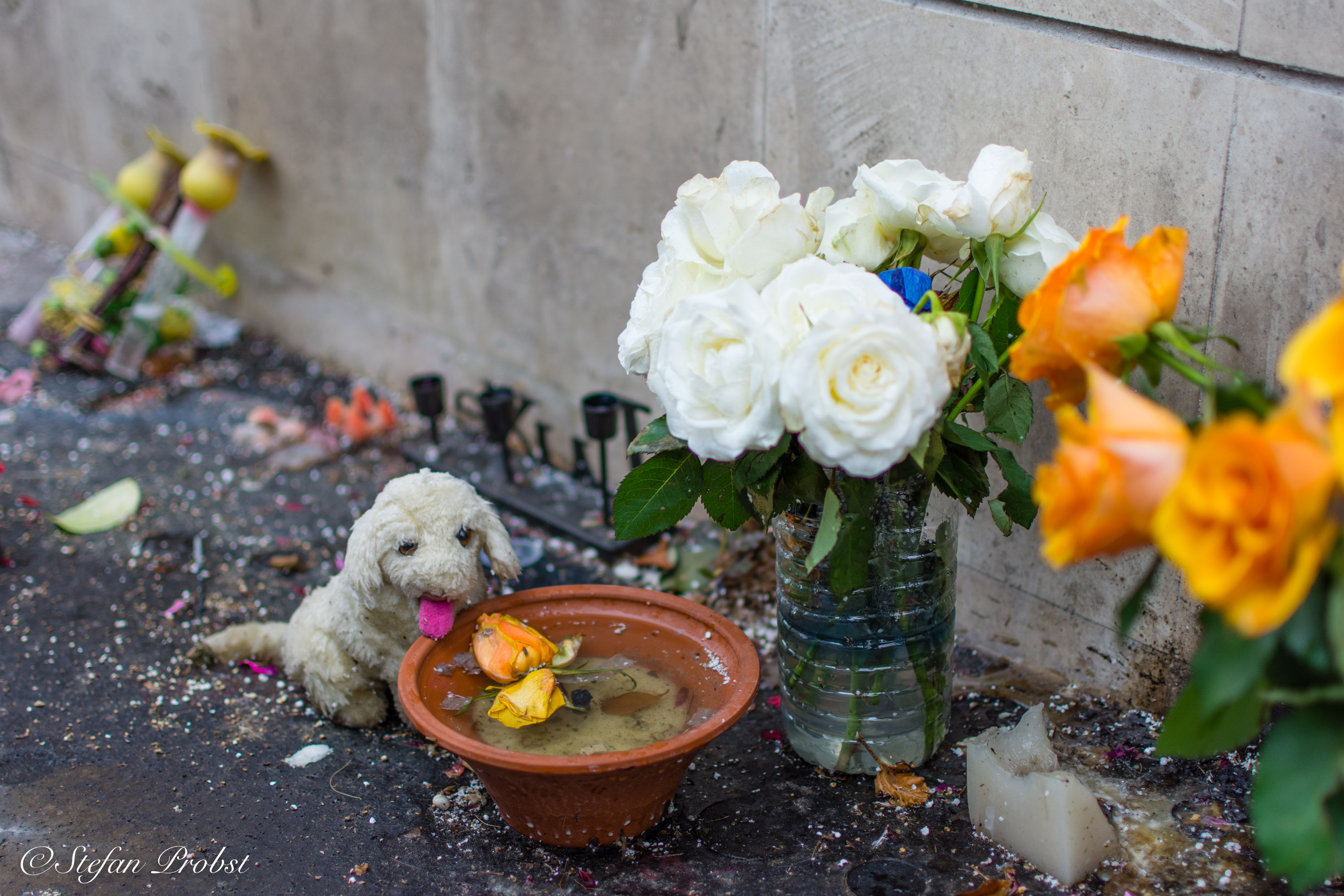 Ein Wochenende in Paris - Blumen und Stoffhund auf Straße