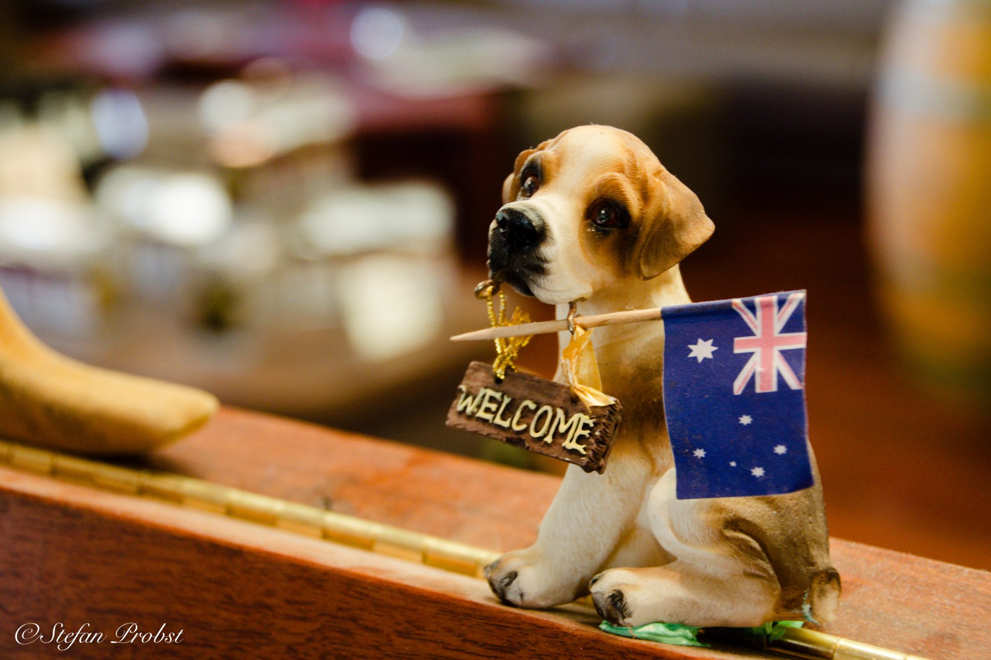 Deco-Hund mit australischer Fahne in der Denmark Chocolate Company