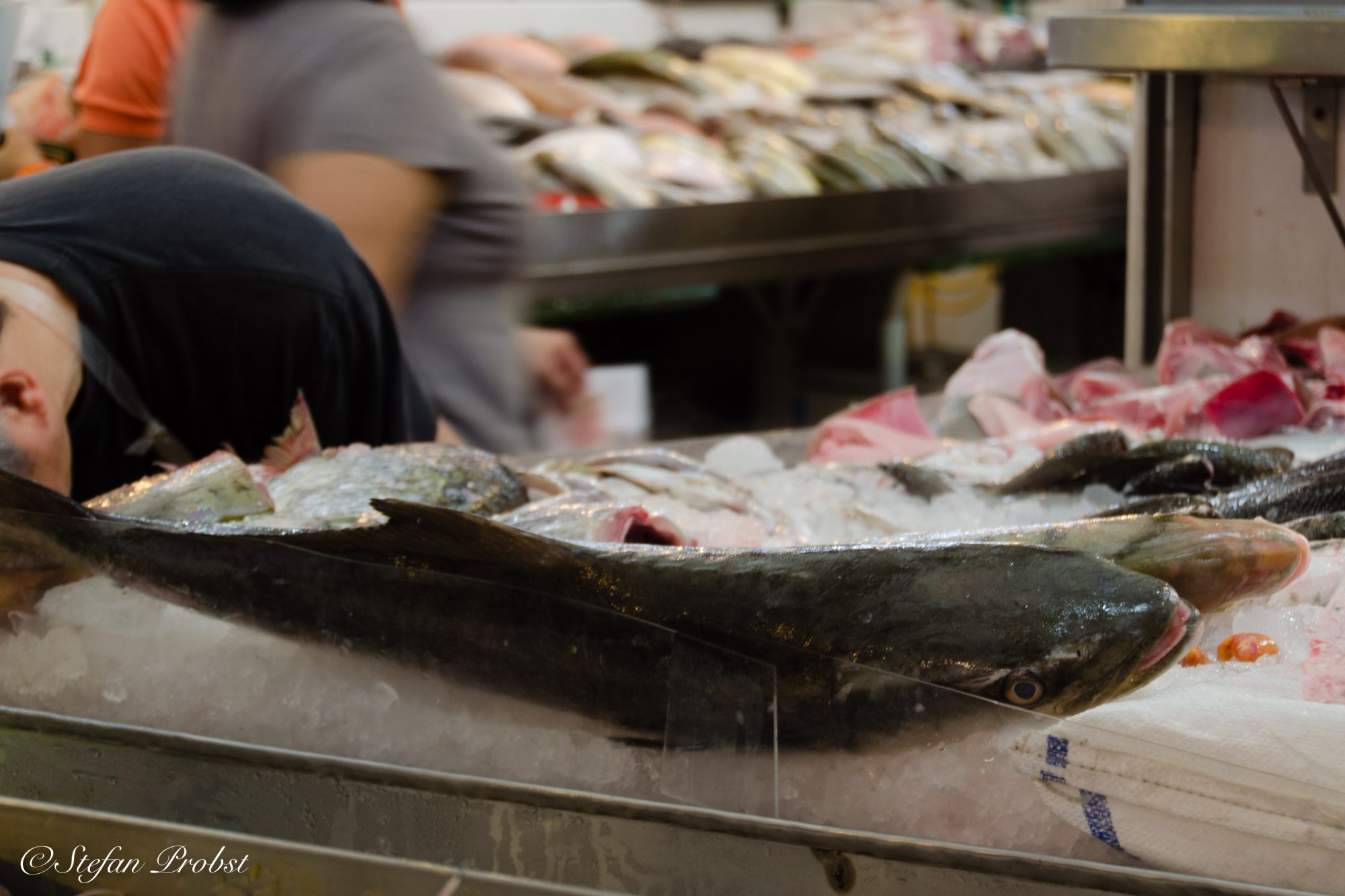 Fische auf Eis in einem Fischmarkt in Singapur