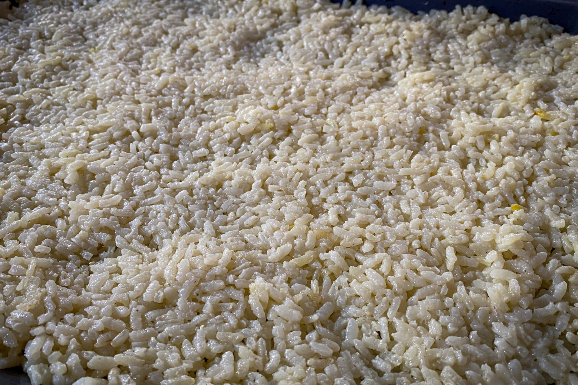 Risottoreis ausgebreitet